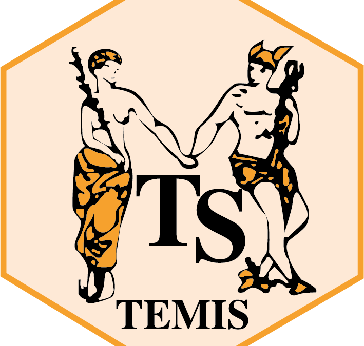 TEMIS INTERIM